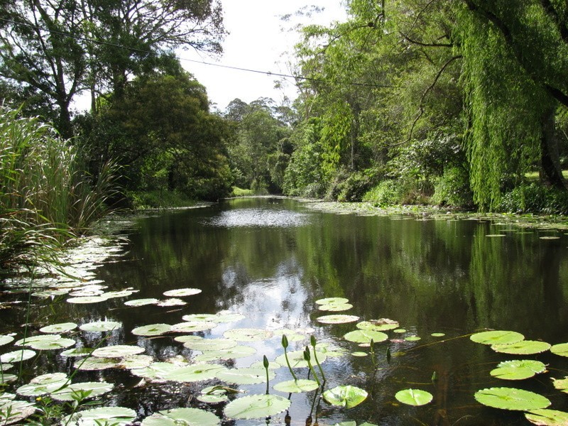 2 Colemans Road, Valla NSW 2448