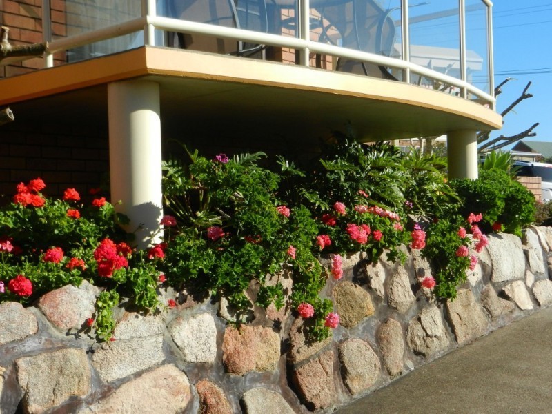 1/36 Waratah Street, Scotts Head NSW 2447