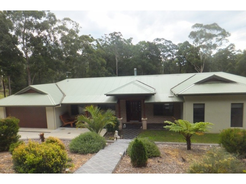 Newee Creek NSW 2447