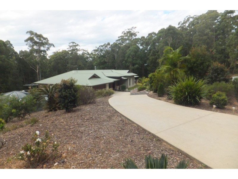 Newee Creek NSW 2447