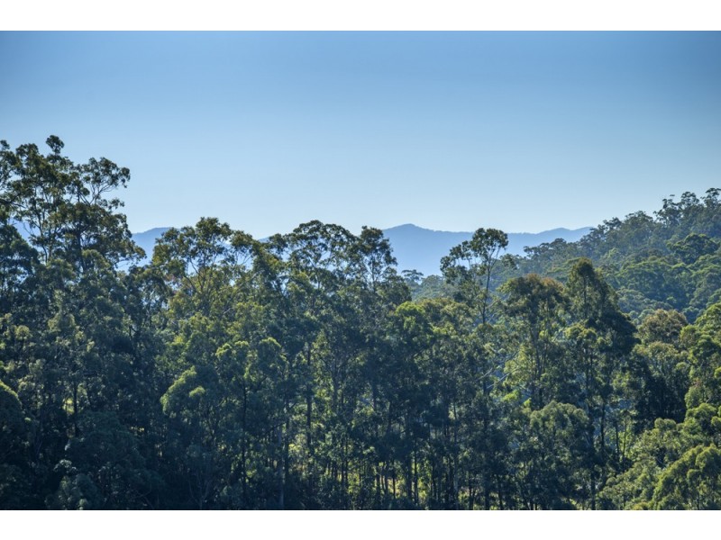 135A Hawk Road, Valla NSW 2448