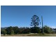 54 Boundary, Macksville NSW 2447