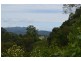Argents Hill NSW 2449