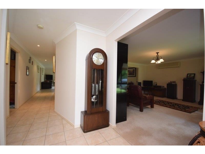 12 Pademelon, Eungai Creek NSW 2441