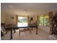 12 Pademelon, Eungai Creek NSW 2441