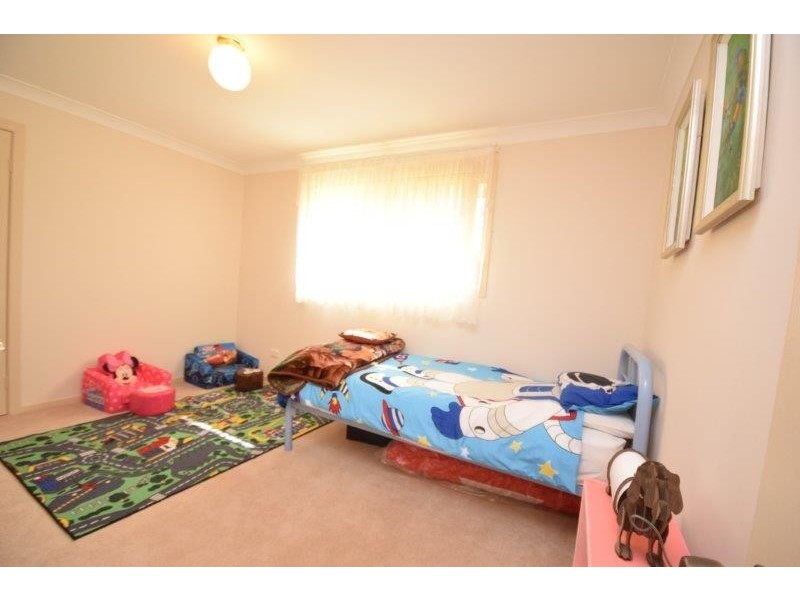 12 Pademelon, Eungai Creek NSW 2441
