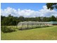 12 Pademelon, Eungai Creek NSW 2441