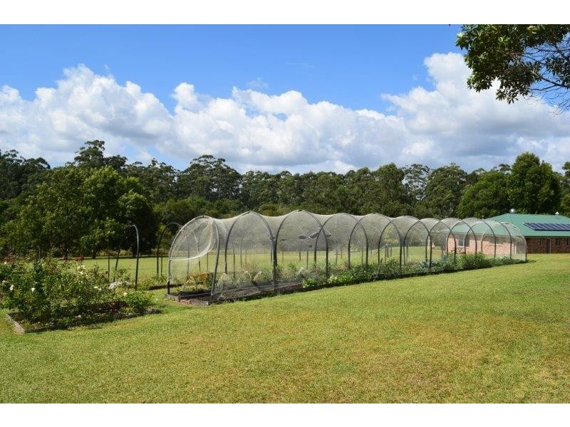 12 Pademelon, Eungai Creek NSW 2441