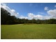 12 Pademelon, Eungai Creek NSW 2441