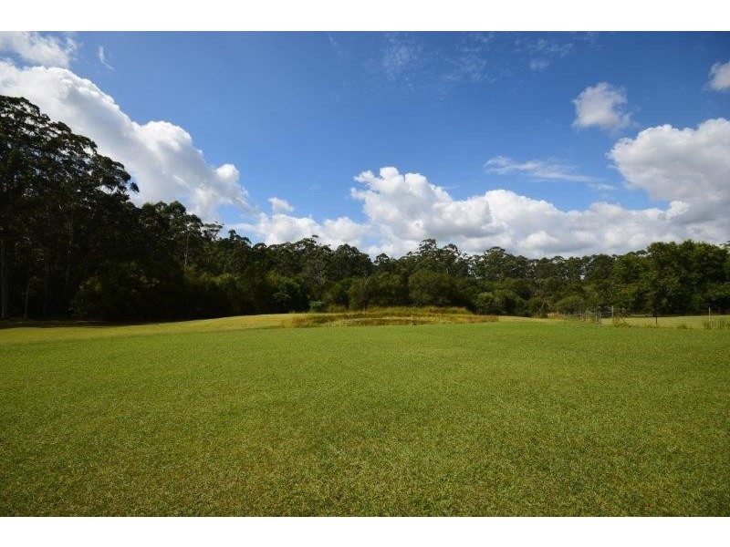 12 Pademelon, Eungai Creek NSW 2441