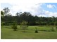 12 Pademelon, Eungai Creek NSW 2441