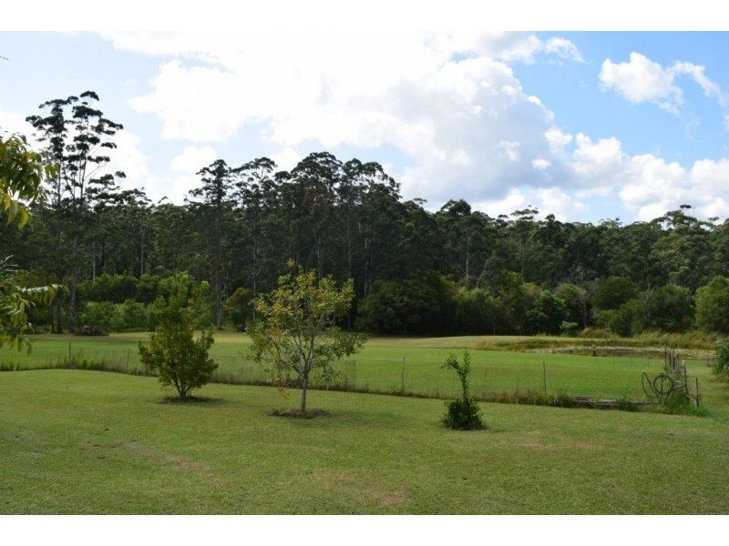12 Pademelon, Eungai Creek NSW 2441