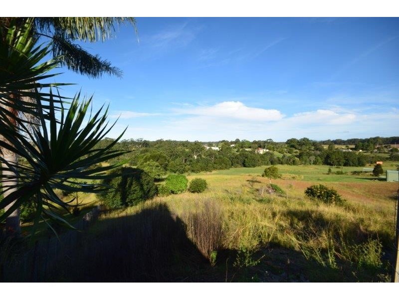 Newee Creek NSW 2447