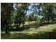 439 Upper Buckra Bendinni, Bowraville NSW 2449