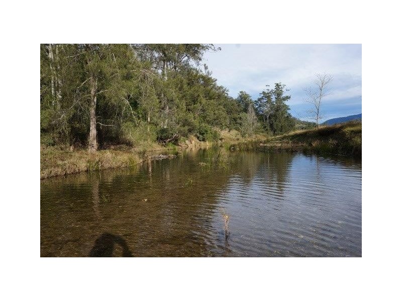 439 Upper Buckra Bendinni, Bowraville NSW 2449