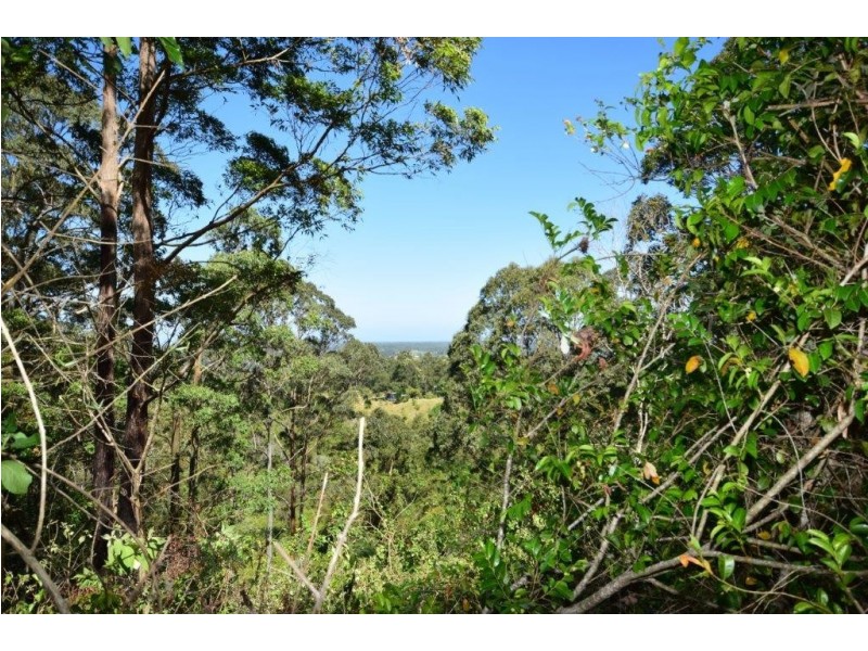 260 Balance Tank Road, Bowraville NSW 2449