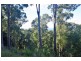 Lot 702,  Bowerbird Lane, Valla NSW 2448