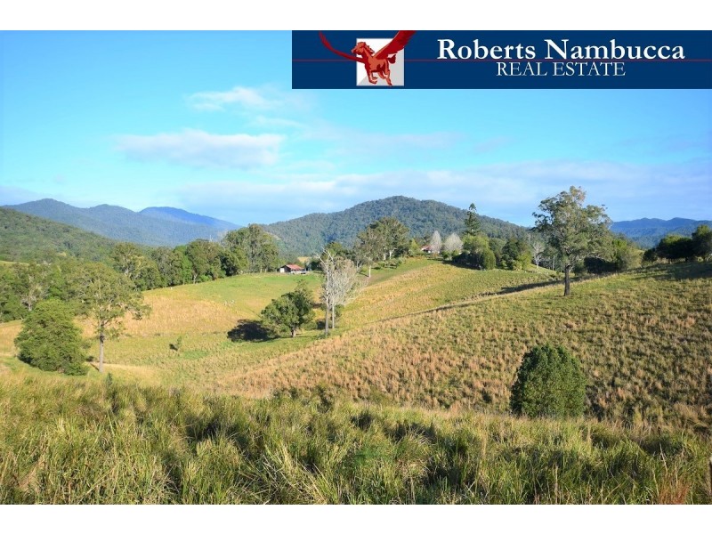 1319 North Arm Road, Argents Hill NSW 2449