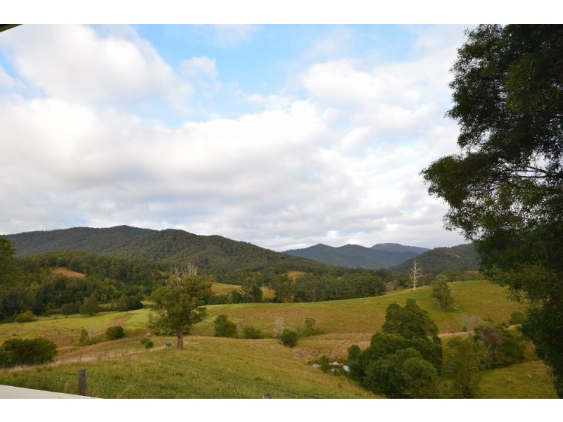 1319 North Arm Road, Argents Hill NSW 2449