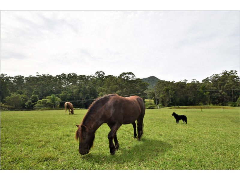 190 Sullivans Rd, Valla NSW 2448