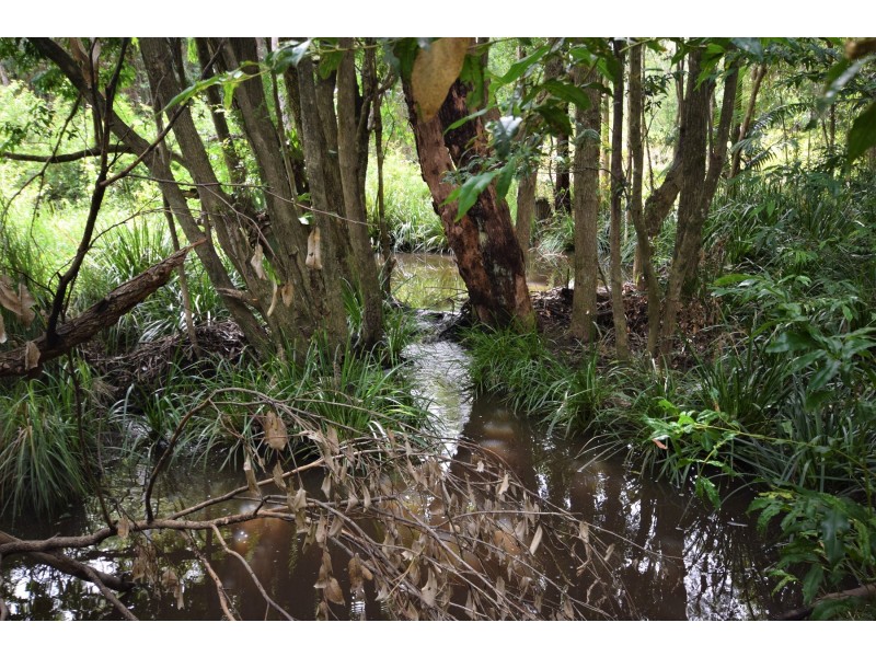 190 Sullivans Rd, Valla NSW 2448