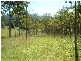 Missabotti NSW 2449