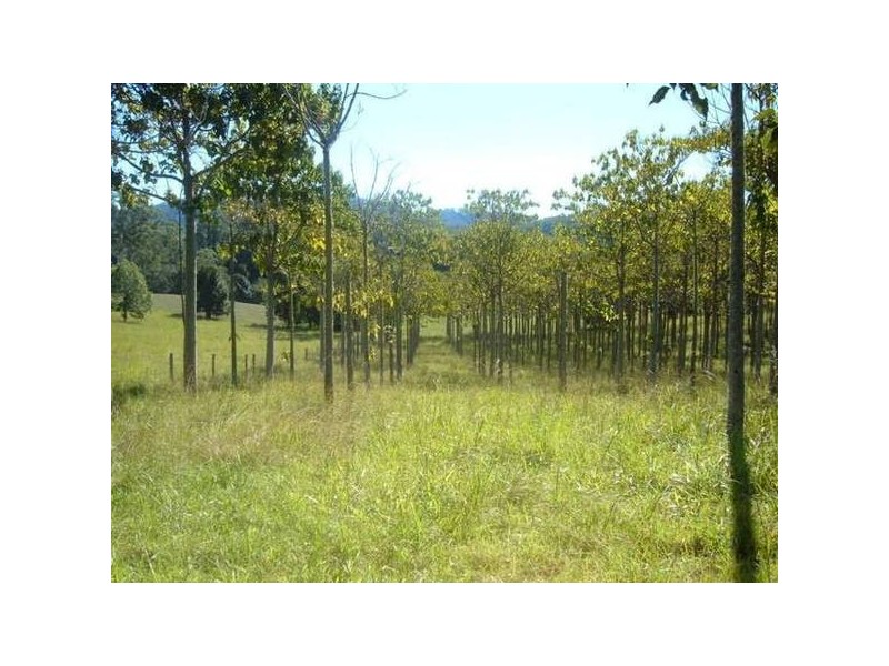 Missabotti NSW 2449