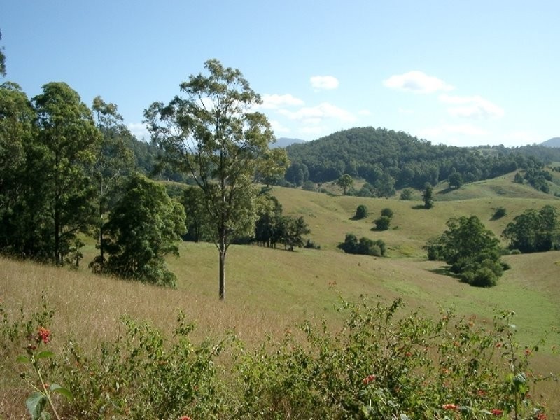 Lot 2,  Bakers Creek Road, Taylors Arm NSW 2447