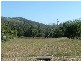 Macksville NSW 2447