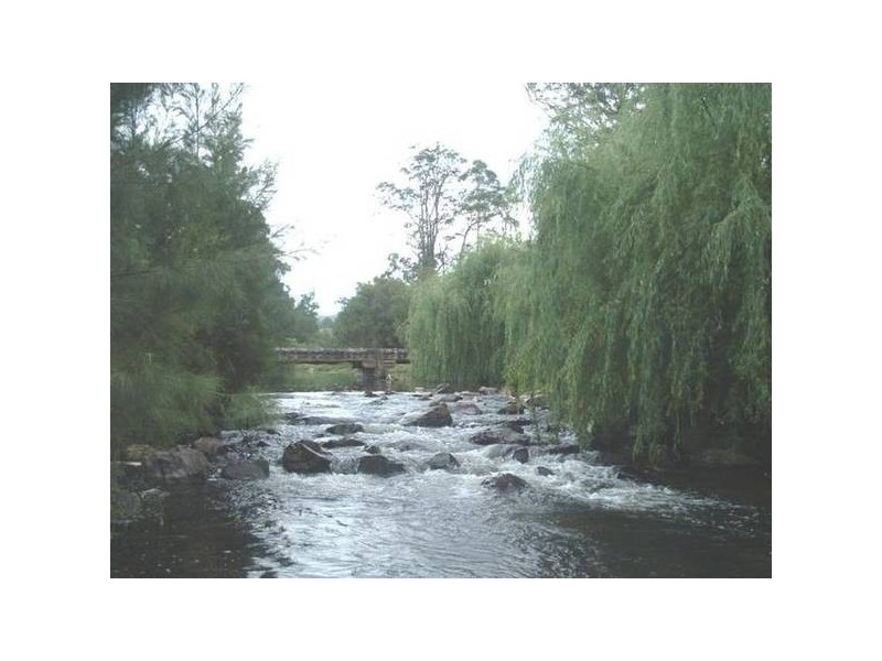 Taylors Arm NSW 2447