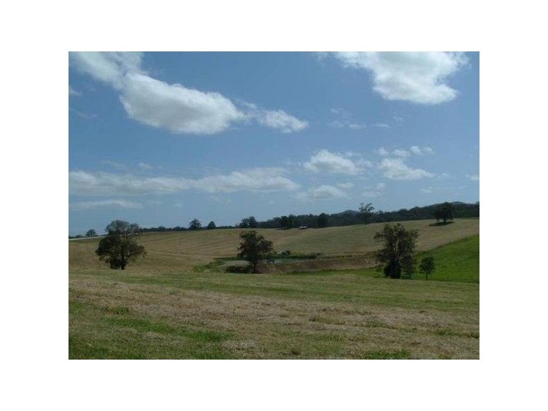 Macksville NSW 2447
