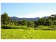 Newee Creek NSW 2447