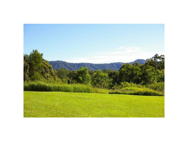 Newee Creek NSW 2447