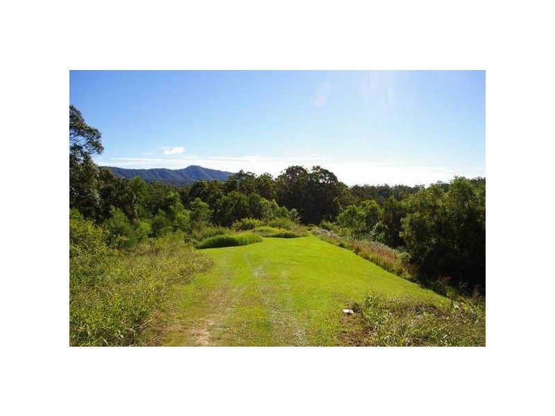 Newee Creek NSW 2447