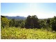 Newee Creek NSW 2447