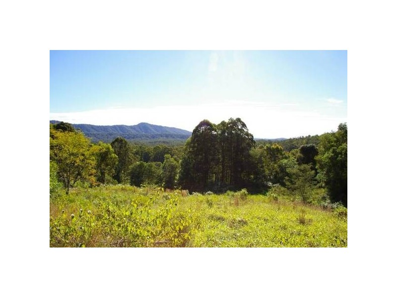 Newee Creek NSW 2447