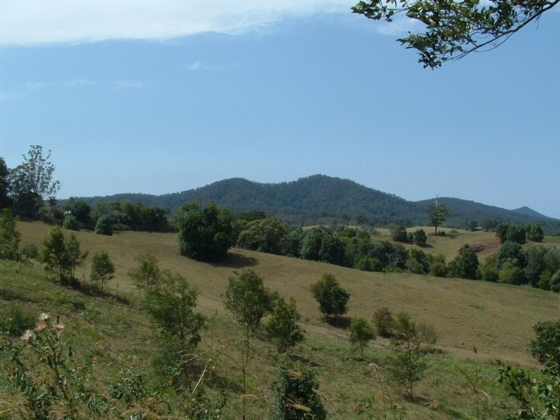 22 Newee Creek Road, Newee Creek NSW 2447