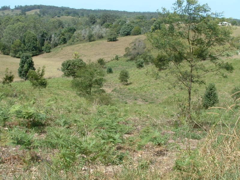 22 Newee Creek Road, Newee Creek NSW 2447