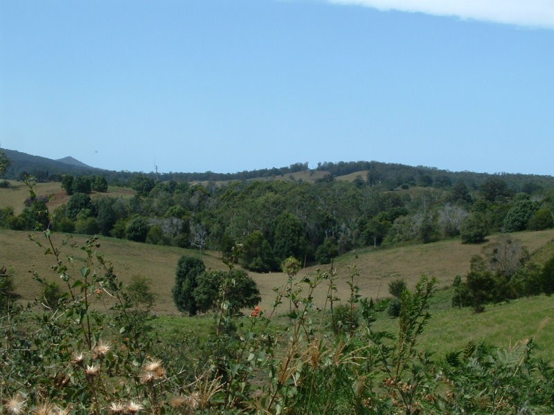 22 Newee Creek Road, Newee Creek NSW 2447