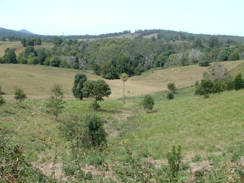 22 Newee Creek Road, Newee Creek NSW 2447