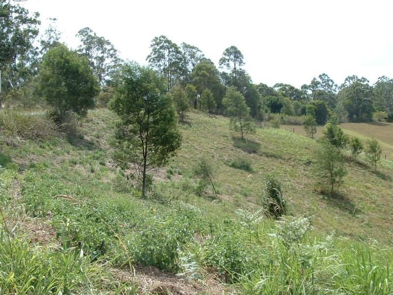 22 Newee Creek Road, Newee Creek NSW 2447