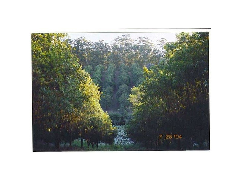 Valla NSW 2448