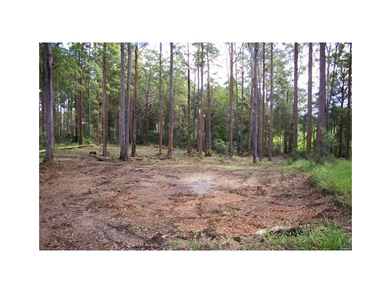 Nambucca Heads NSW 2448