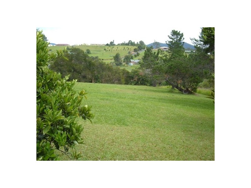 Newee Creek NSW 2447