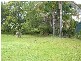 Newee Creek NSW 2447