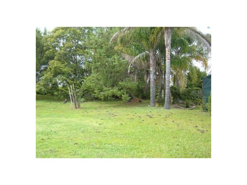 Newee Creek NSW 2447