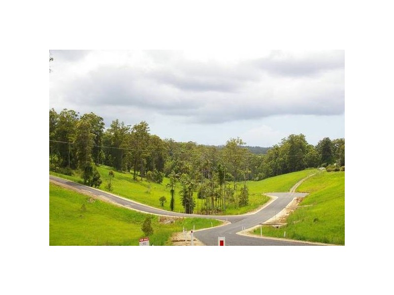 1 Irvines Road, Newee Creek NSW 2447