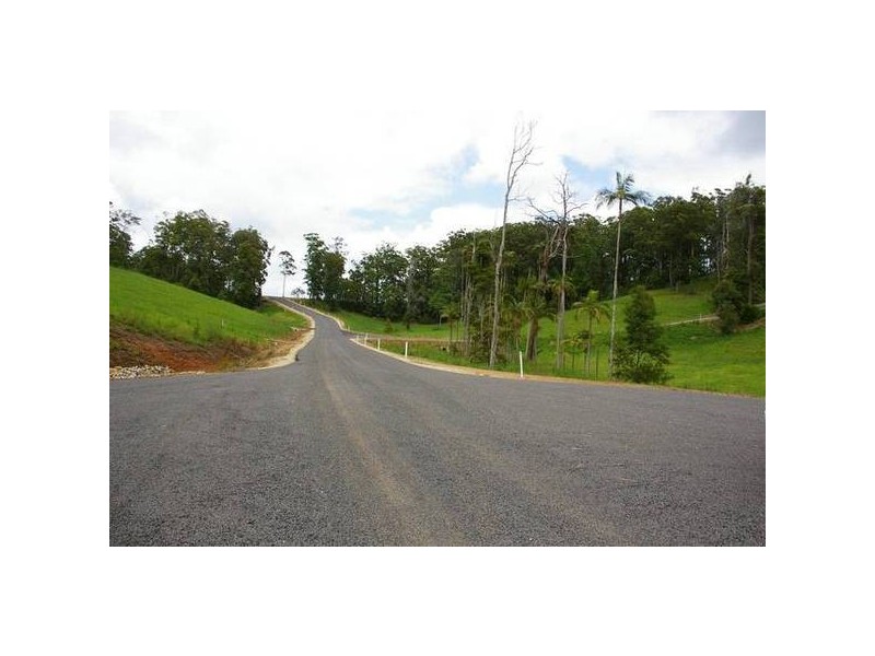 1 Irvines Road, Newee Creek NSW 2447