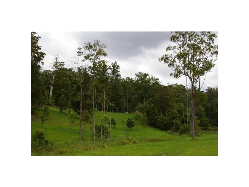 1 Irvines Road, Newee Creek NSW 2447