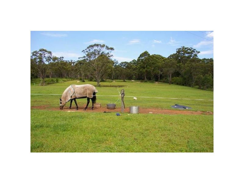 Gumma NSW 2447